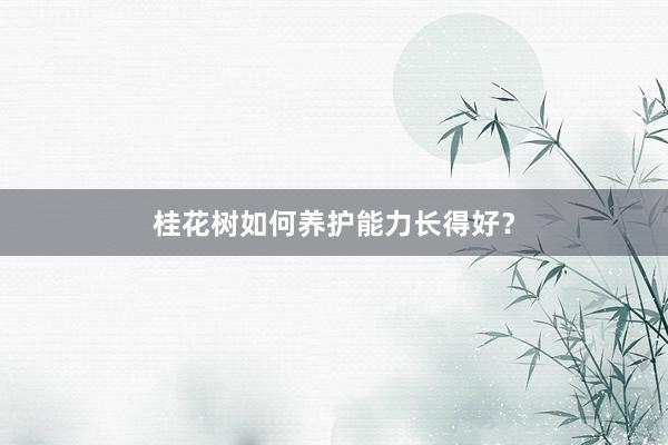 桂花树如何养护能力长得好？