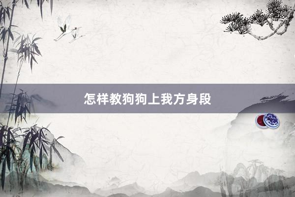 怎样教狗狗上我方身段