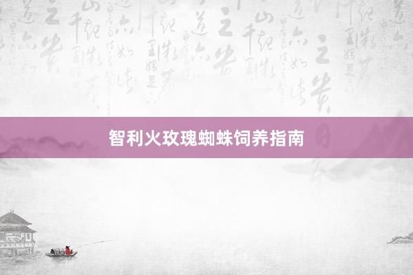 智利火玫瑰蜘蛛饲养指南