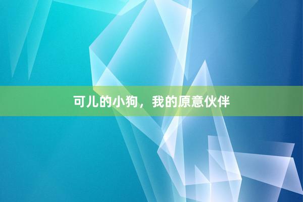 可儿的小狗，我的原意伙伴
